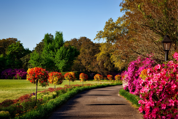 Jardinagem Floral Sustentável: Cultive Beleza e Benefícios