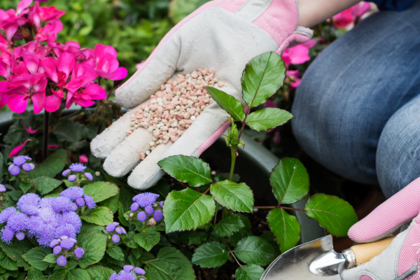  Fertilizantes Naturais Para a Botânica Floral: Dicas que Podem Ser Eficazes