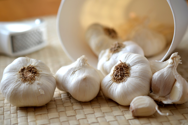 Do Plantio à Colheita: Cultivando Alho Fresco em Casa